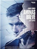 Aminas breve