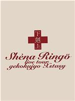 椎名林檎 実演ツアー 下剋上エクスタシー