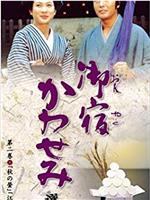 翠鸟旅馆