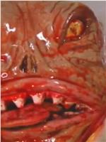 Dead Body Man 2: Separation Anxiety在线观看