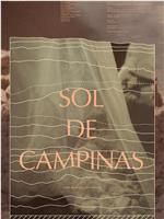 Sol de Campinas