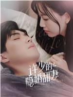 许少的隐婚甜妻 第二季在线观看