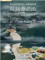 风味原产地·贵阳在线观看