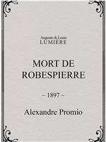 Robespierre之死在线观看