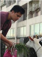 小文空仔与那只羊