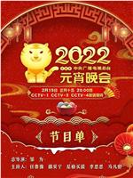 2022年中央广播电视总台元宵晚会在线观看