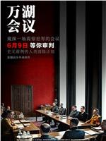 万湖会议在线观看