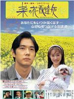 菜の花配達便