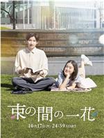 一霎一花在线观看