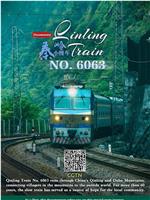 6063次火车穿越秦岭之旅