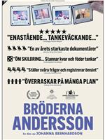 Bröderna Andersson