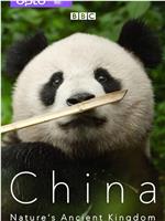 中国：大自然的古老王国 第一季