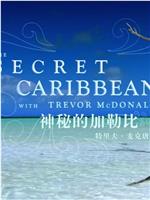 神秘的加勒比在线观看