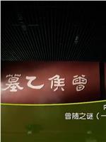 曾随之谜