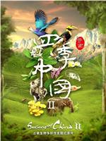 四季中国 第二季在线观看