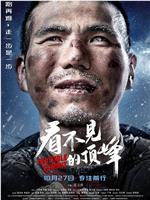 看不见的顶峰在线观看