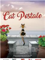 猫信片