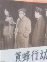 黄蜂行动在线观看