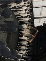 重影时刻在线观看