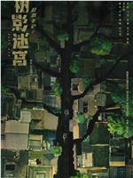 树影迷宫