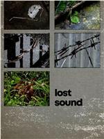 Lost Sound