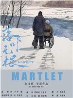 落叶无根在线观看