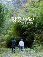 长兴1950：通往村庄的战争