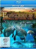 大沼泽地探险 3D - 水晶河的海牛