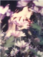 Chrysathemun綺想在线观看