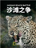 沙滩之争