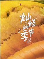 灿烂的季节 第二季