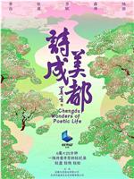 诗美成都