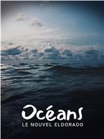 Océans : le nouvel Eldorado?