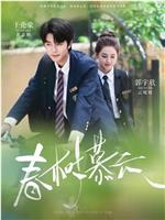春树慕云
