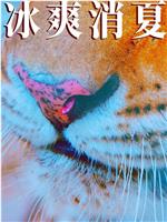 寒冰白血